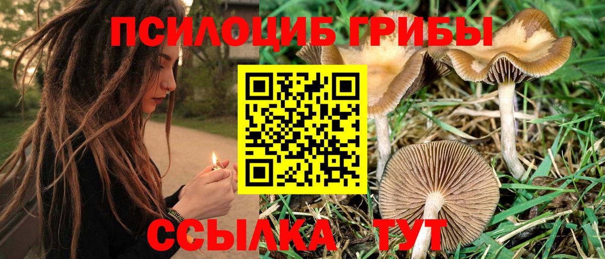 Псилоцибиновые грибы ЛСД Артёмовский