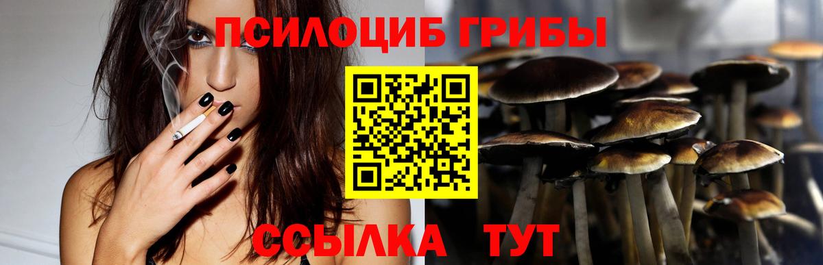 Псилоцибиновые грибы прущие грибы  Вход с VPN  где найти наркотики  Артёмовский 